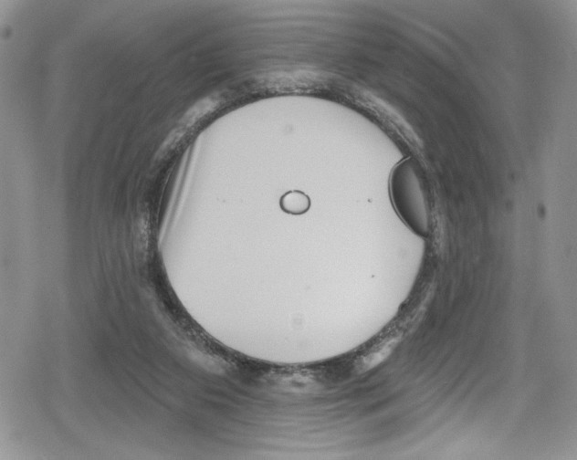 X0000078830113200612111529