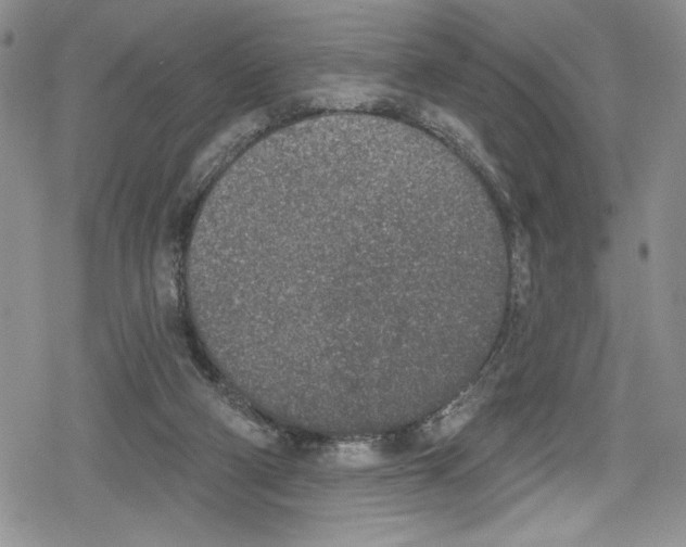 X0000078830114200612111529