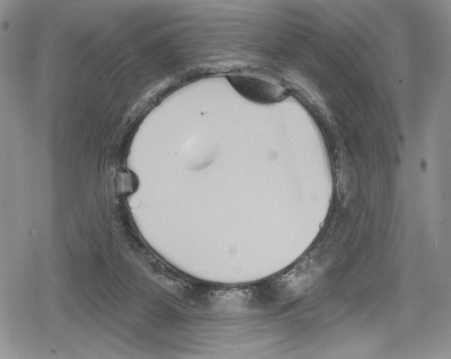 X0000078830115200612111529