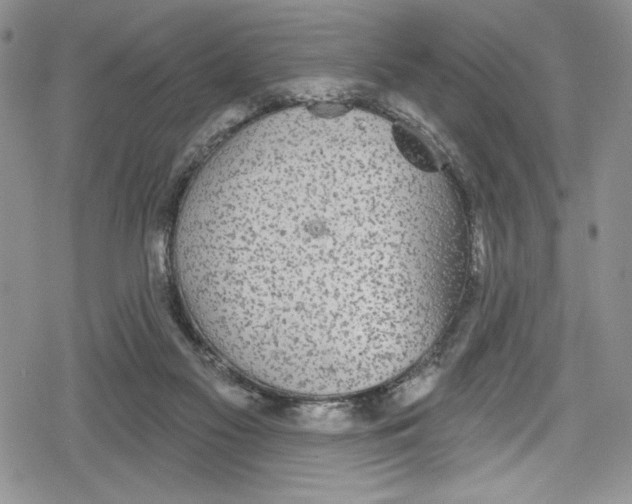 X0000078830117200612111529