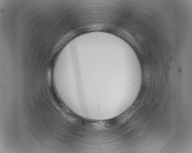 X0000078830118200612111529