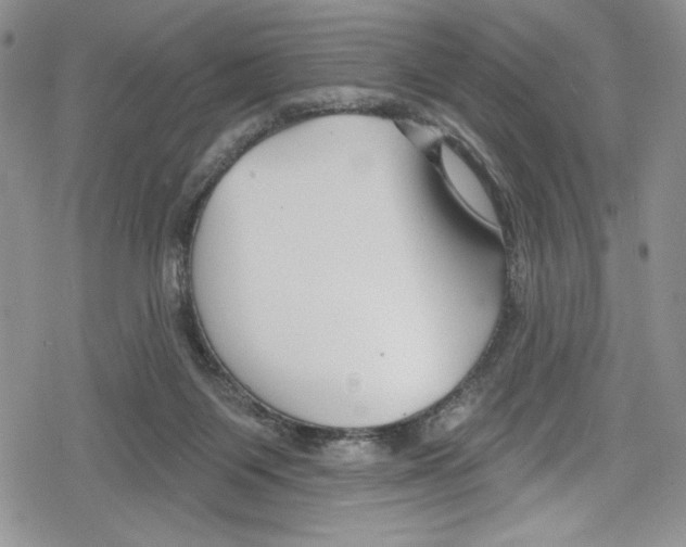 X0000078830119200612111529