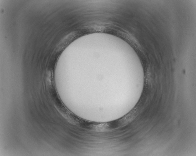 X0000078830122200612111529