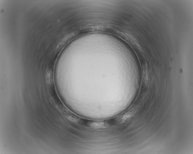 X0000078830123200612111529