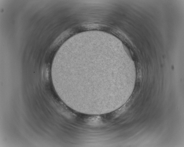 X0000078830124200612111529