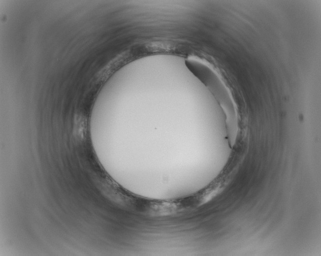 X0000078830125200612111529