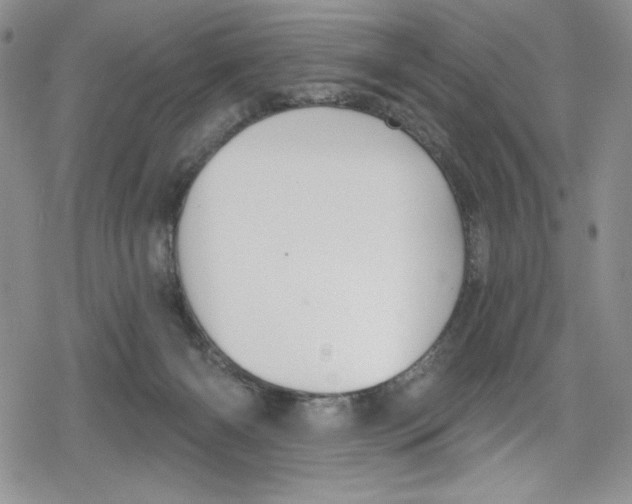 X0000078830126200612111529