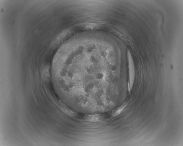 X0000078830127200612111529