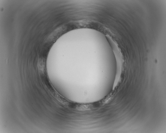 X0000078830129200612111529