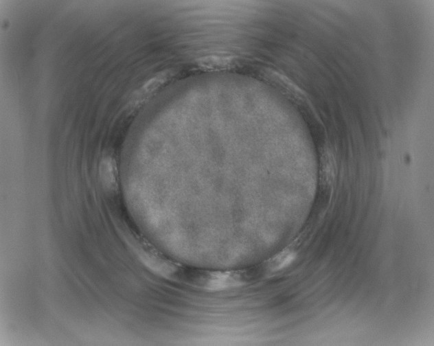 X0000078830130200612111529