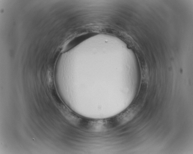 X0000078830131200612111529