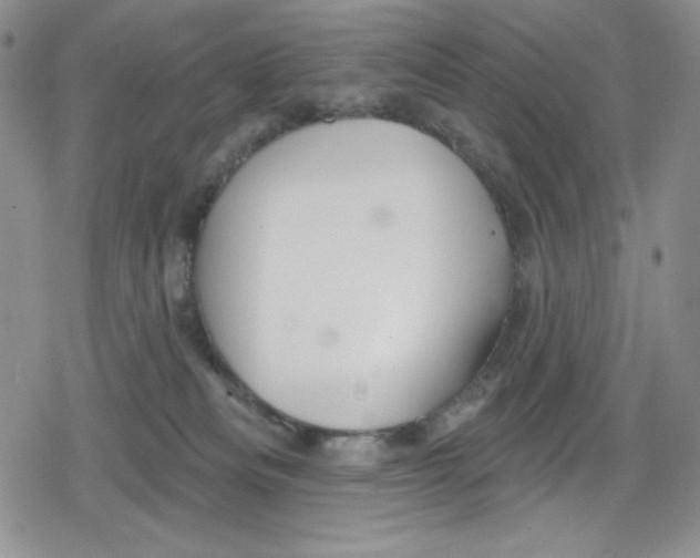 X0000078830133200612111529