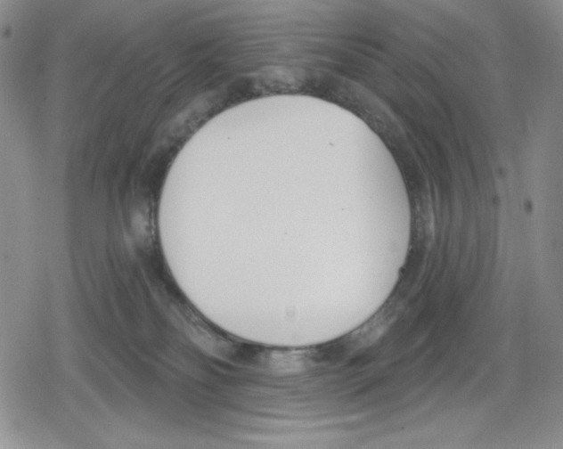 X0000078830134200612111529