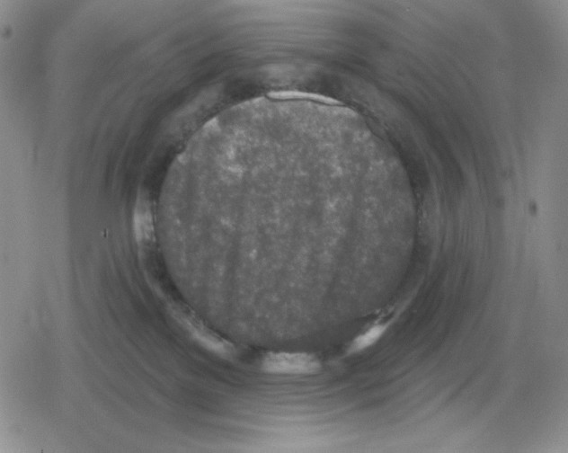 X0000078830137200612111529