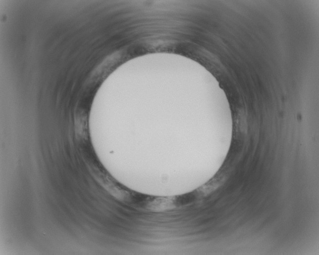 X0000078830138200612111529