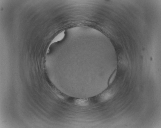 X0000078830139200612111529