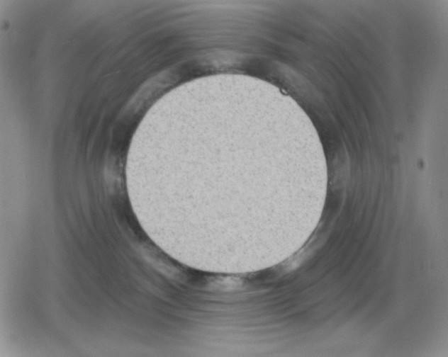 X0000078830140200612111529