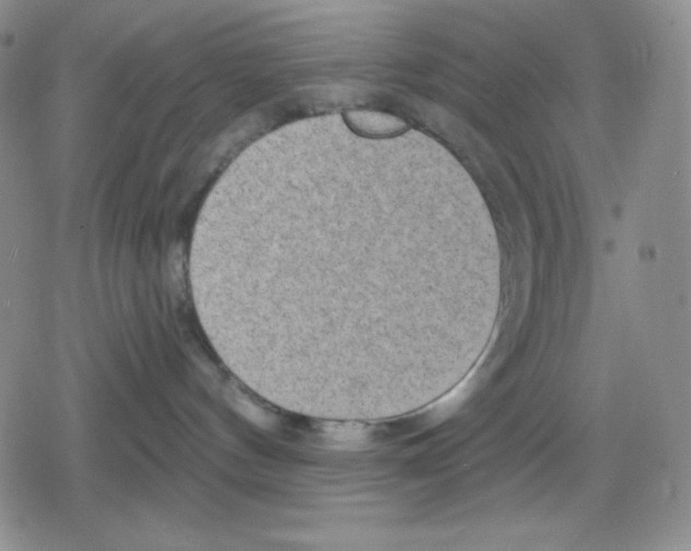 X0000078830144200612111529