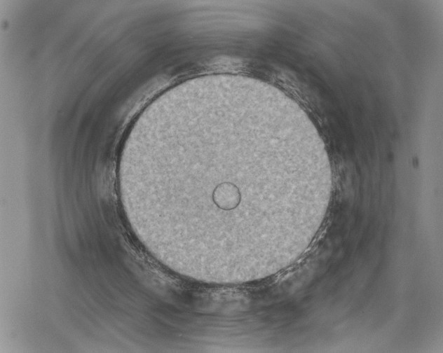 X0000078830146200612111528