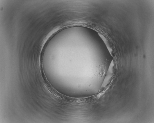 X0000078830148200612111528