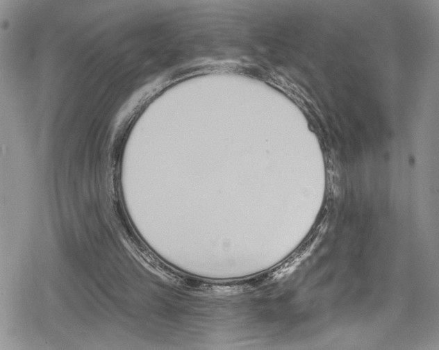 X0000078830149200612111528