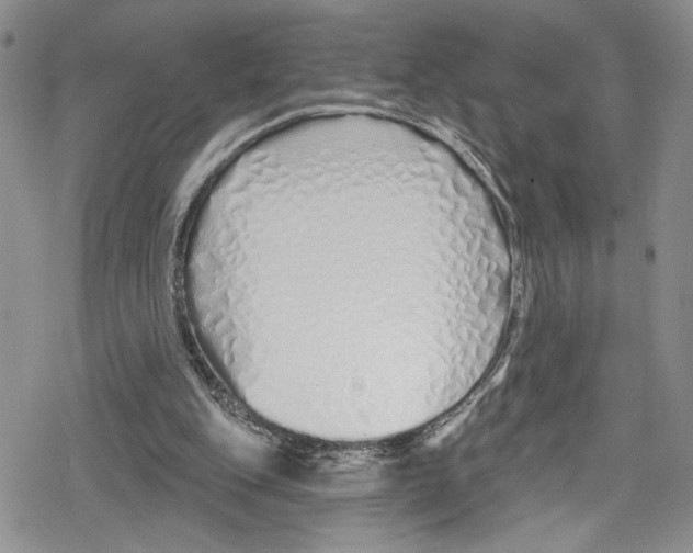 X0000078830151200612111528