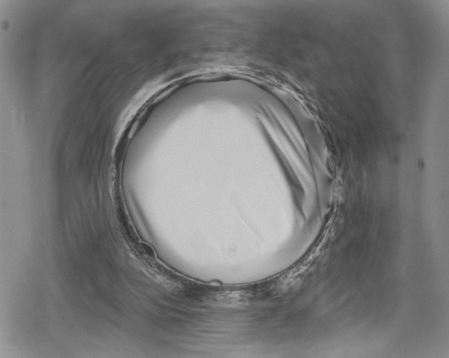 X0000078830152200612111528