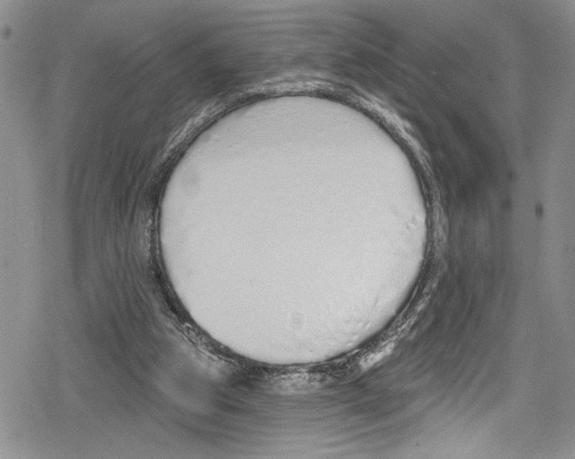 X0000078830153200612111528