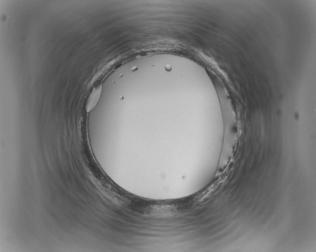 X0000078830154200612111528