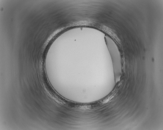 X0000078830156200612111528