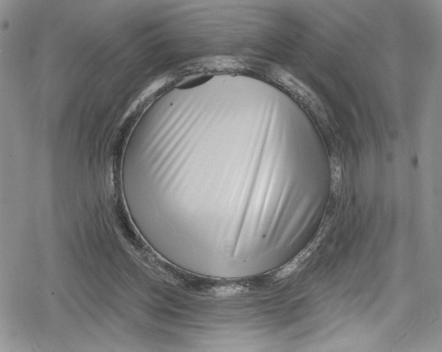 X0000078830158200612111528