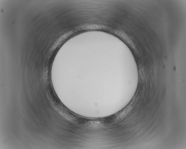 X0000078830159200612111528