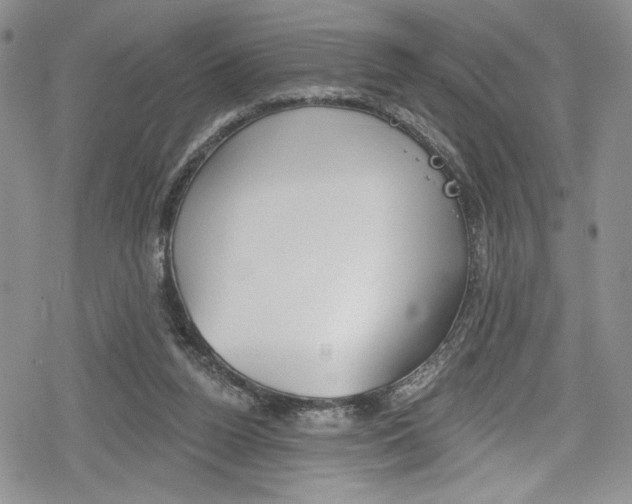 X0000078830160200612111528