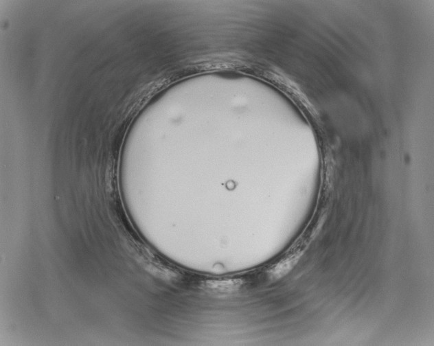 X0000078830161200612111528