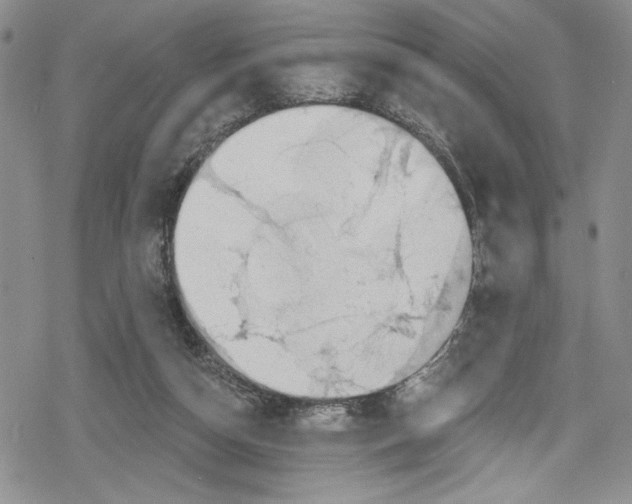 X0000078830162200612111528