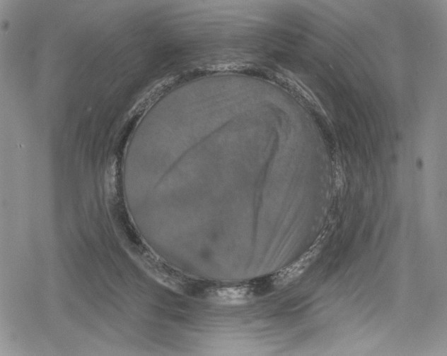 X0000078830163200612111528