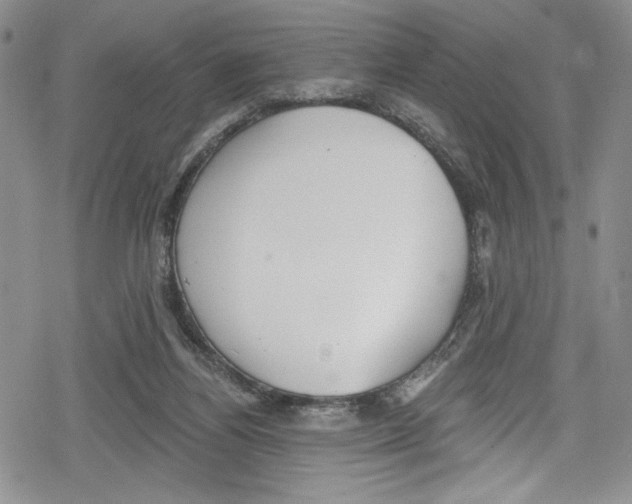 X0000078830164200612111528