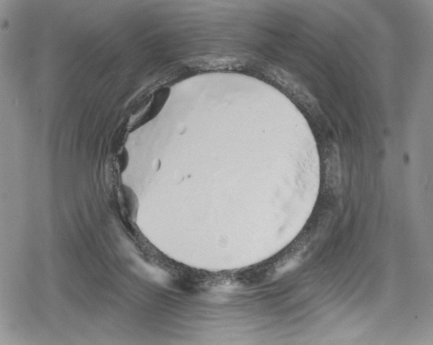 X0000078830165200612111528