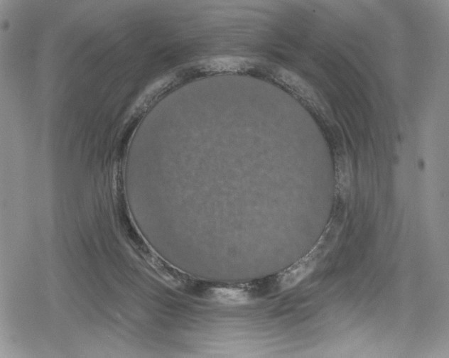 X0000078830167200612111528