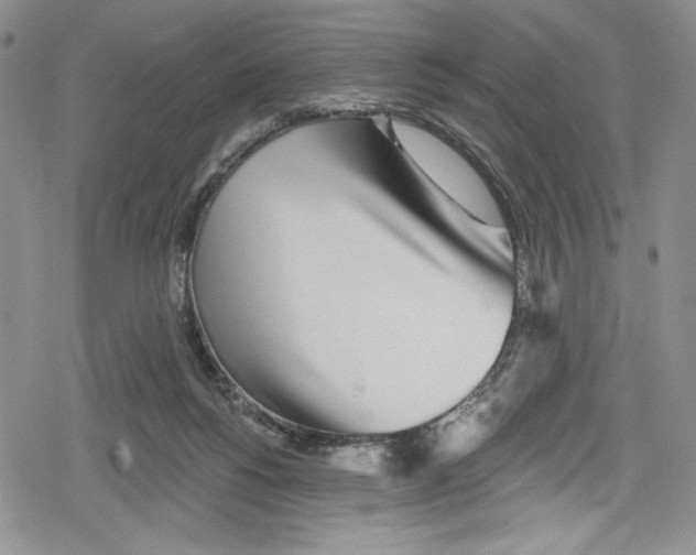 X0000078830168200612111528