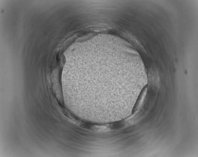 X0000078830170200612111528