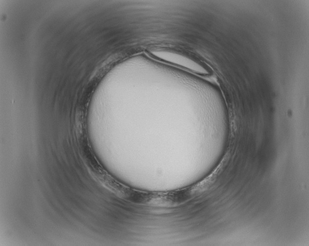 X0000078830171200612111528