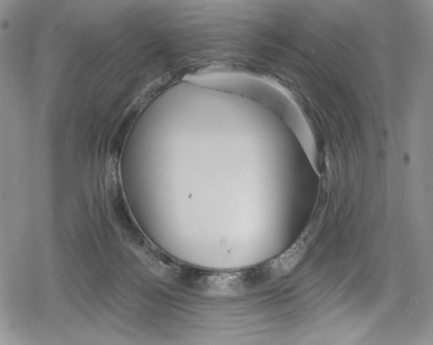 X0000078830172200612111528