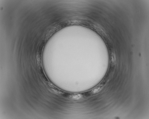 X0000078830173200612111528