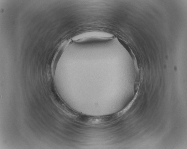 X0000078830174200612111528