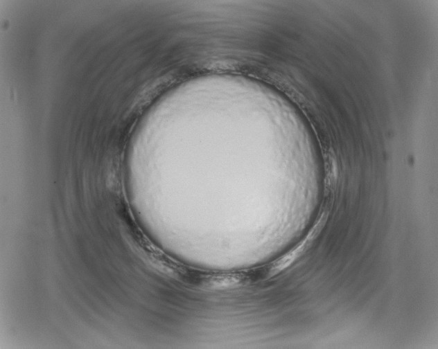 X0000078830175200612111528