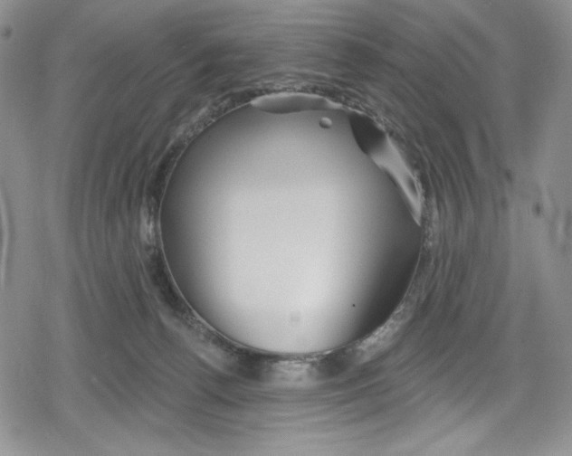 X0000078830176200612111529