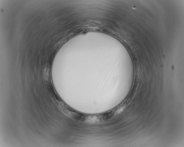 X0000078830177200612111529