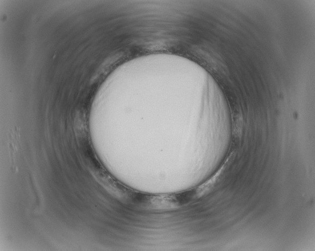 X0000078830179200612111529