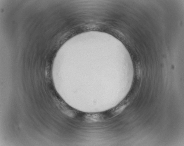 X0000078830181200612111529